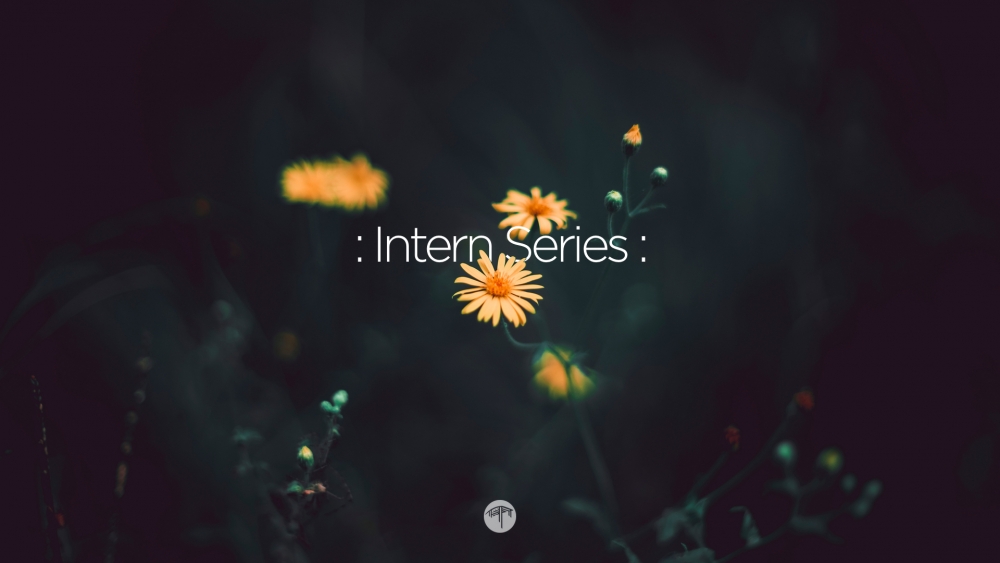 Intern Series